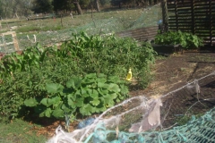 proyectos_escolares (11)