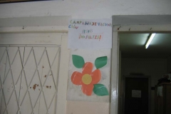 proyectos_escolares (14)