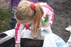 proyectos_escolares (16)