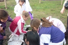 proyectos_escolares (17)