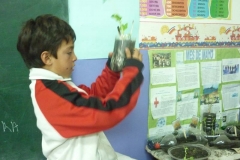 proyectos_escolares (18)